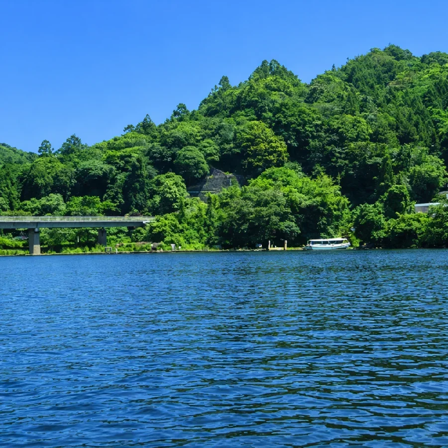 亀山ダム中の島付近の様子