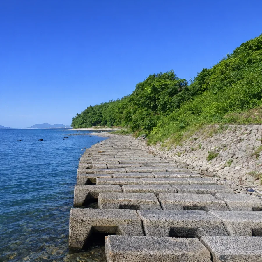 宍道湖ふれあいパーク前の様子