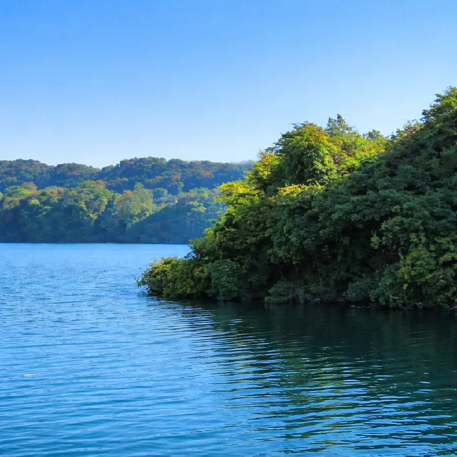 津久井湖6番岬の様子