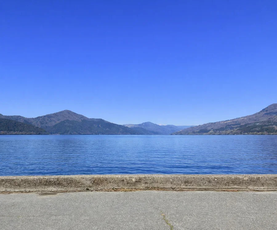 箱根湾奥部の様子