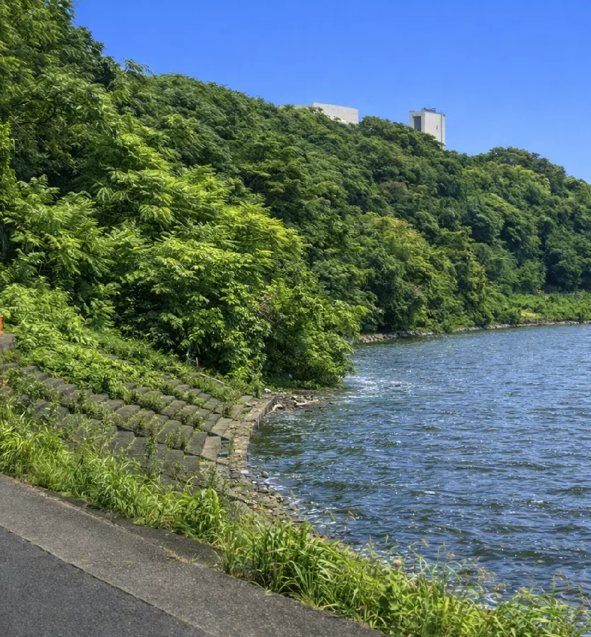 江戸川里見公園周辺の様子