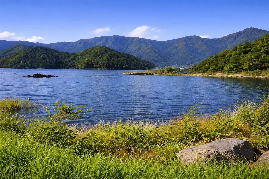 河口湖さかなやワンド