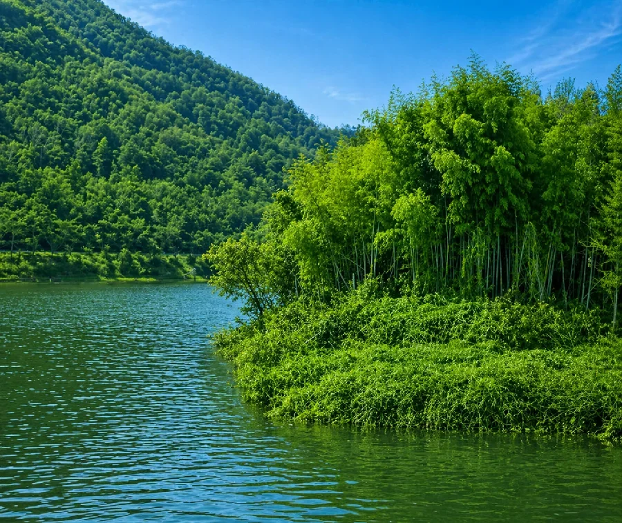 青野ダム岡の谷公園付近