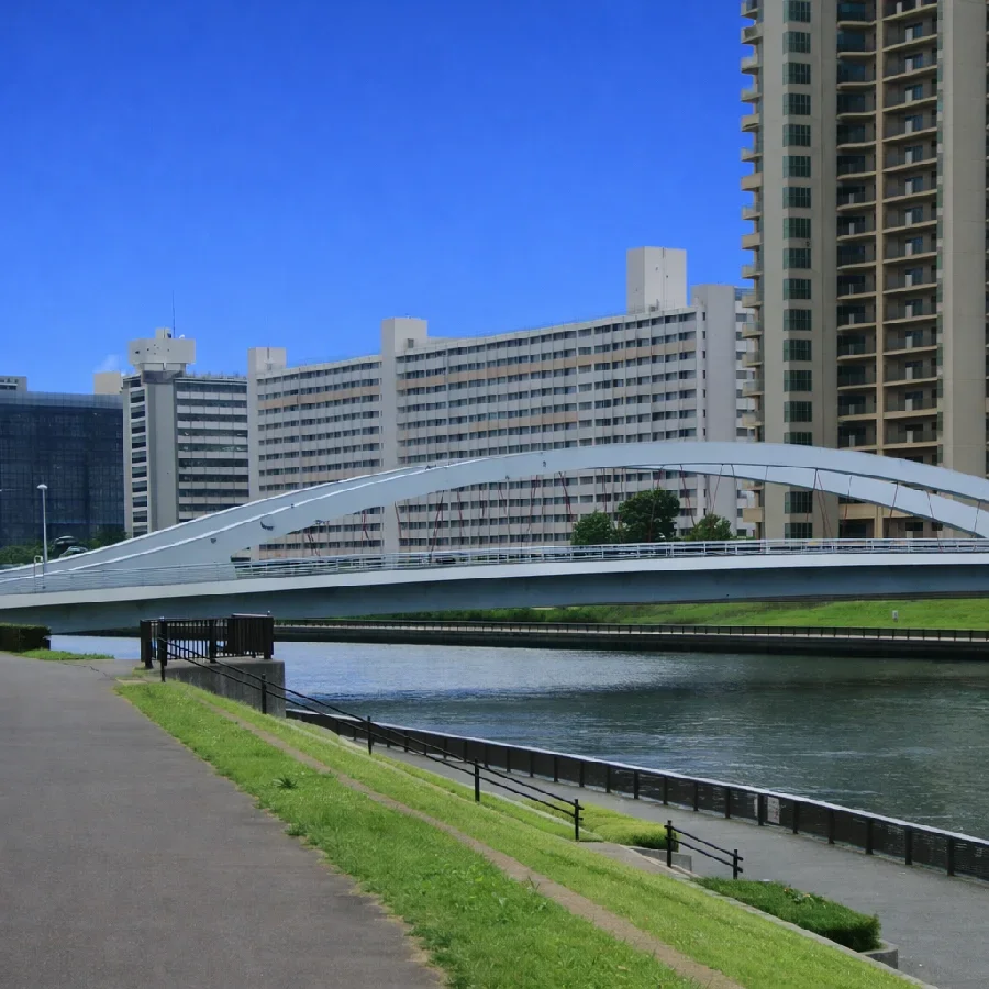 新田さくら公園付近の隅田川
