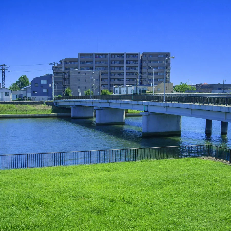 中川合流地点付近の新中川