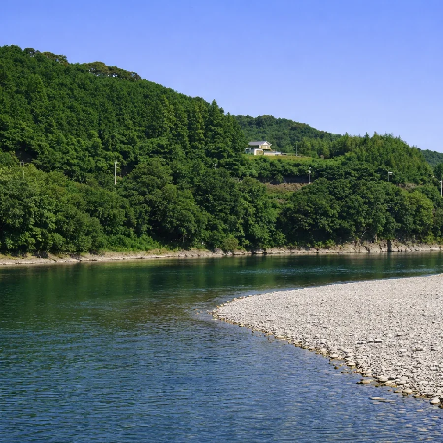 飛龍大橋周辺の天竜川