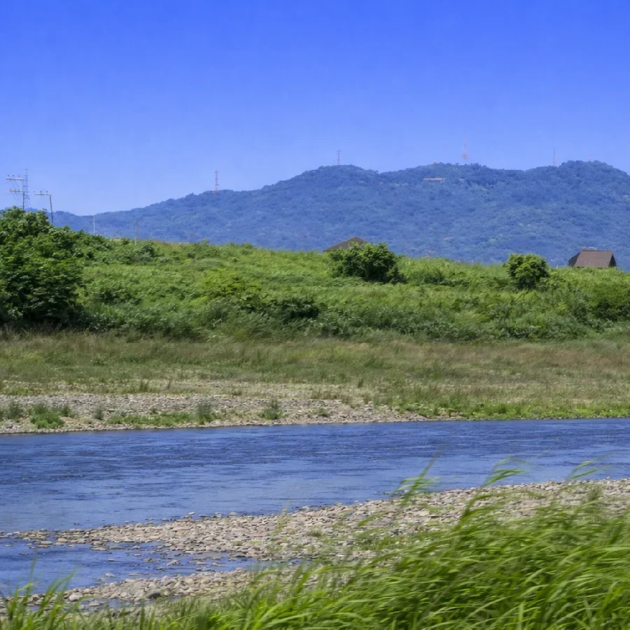 紀の川竹房橋周辺