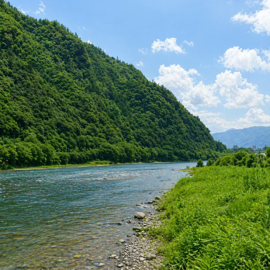 長良川鵜飼大橋周辺