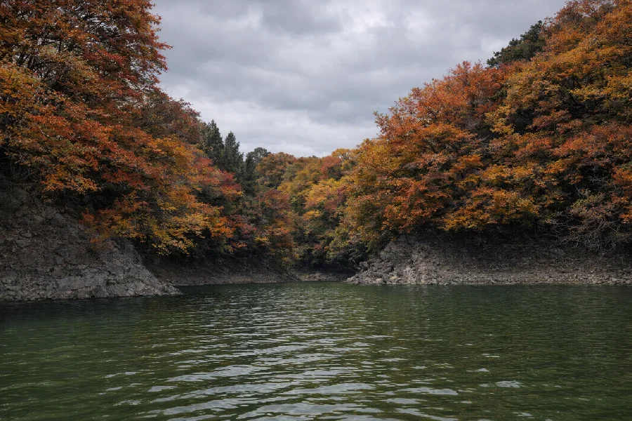 津久井湖大沢ワンドの様子