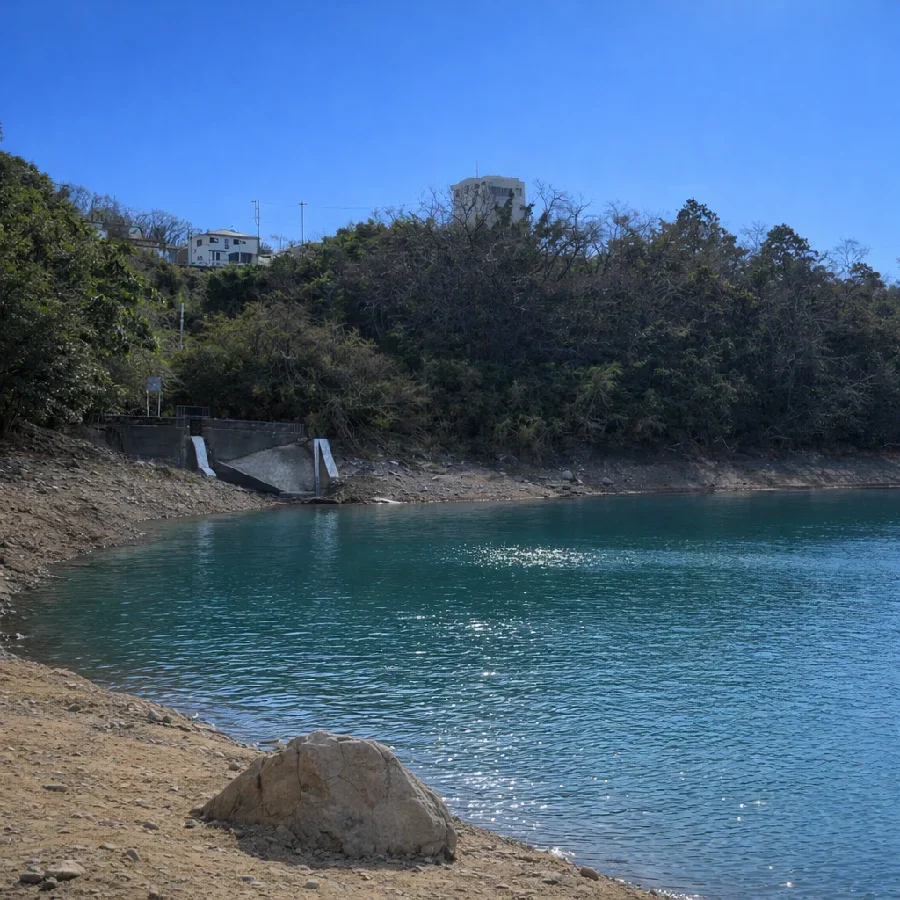 津久井湖串川放水口付近の様子