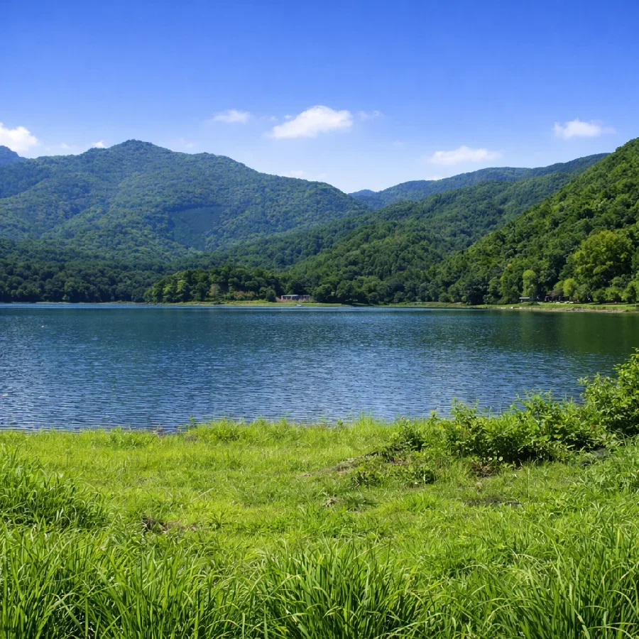 河口湖小海公園付近