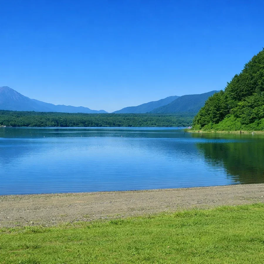 西湖前浜の様子