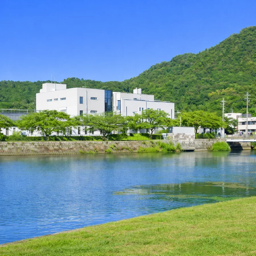 琵琶湖彦根旧港の様子