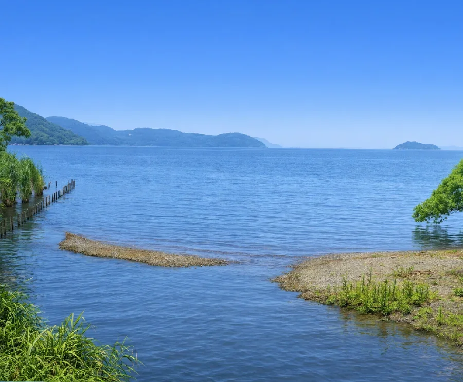琵琶湖境川河口の様子