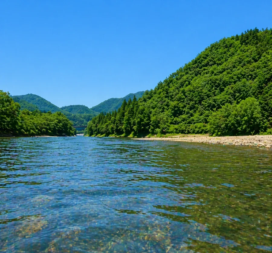 青野ダム大堰橋付近