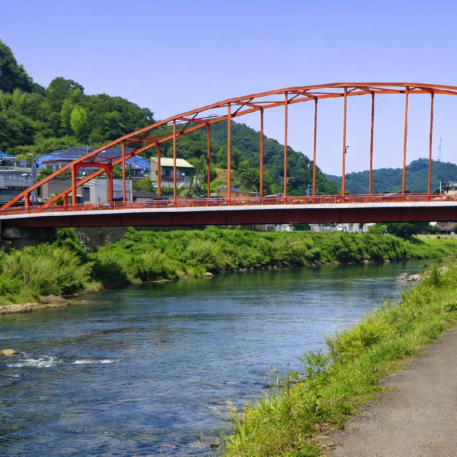 修善寺橋付近の狩野川