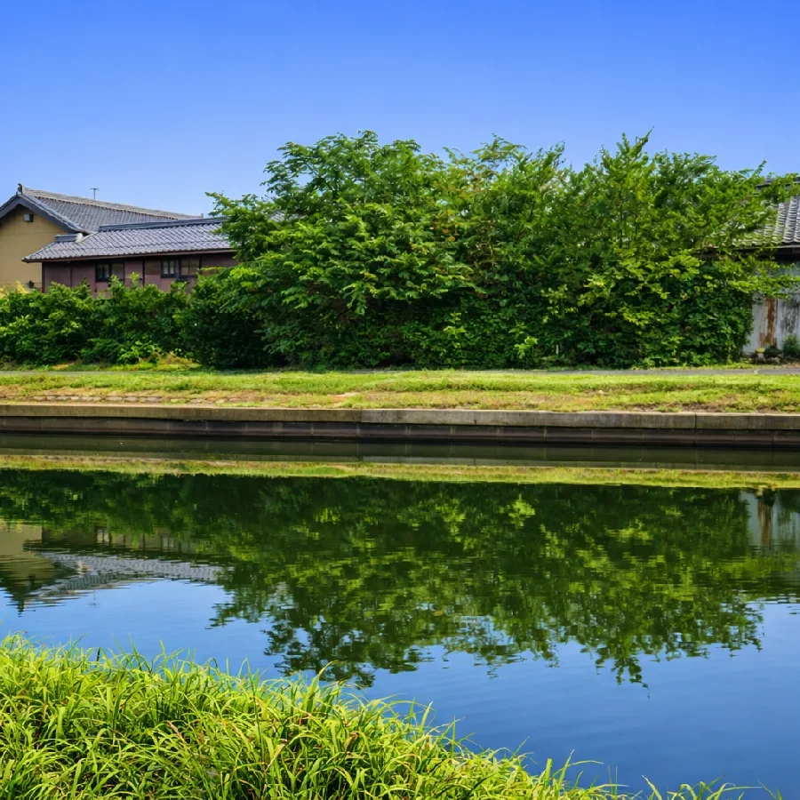 五三川養鶏場前