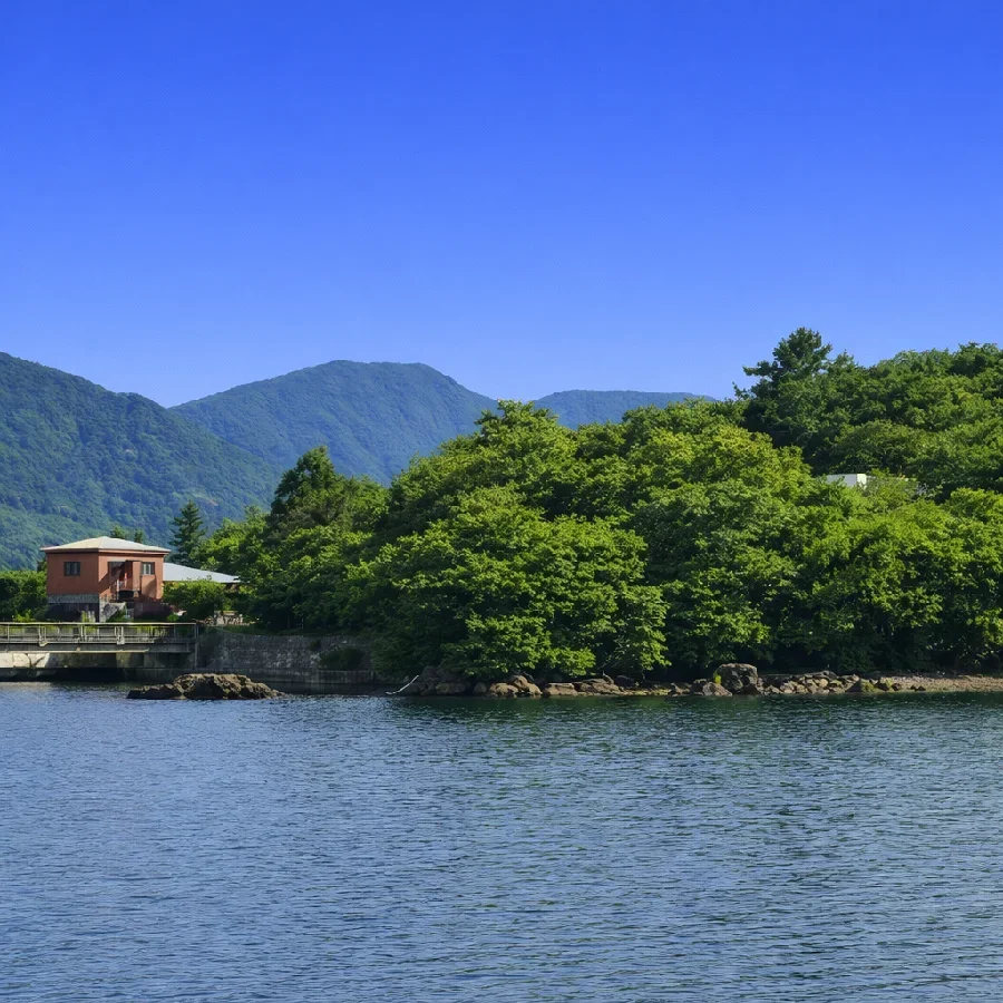 芦ノ湖キャンプ場前付近の様子