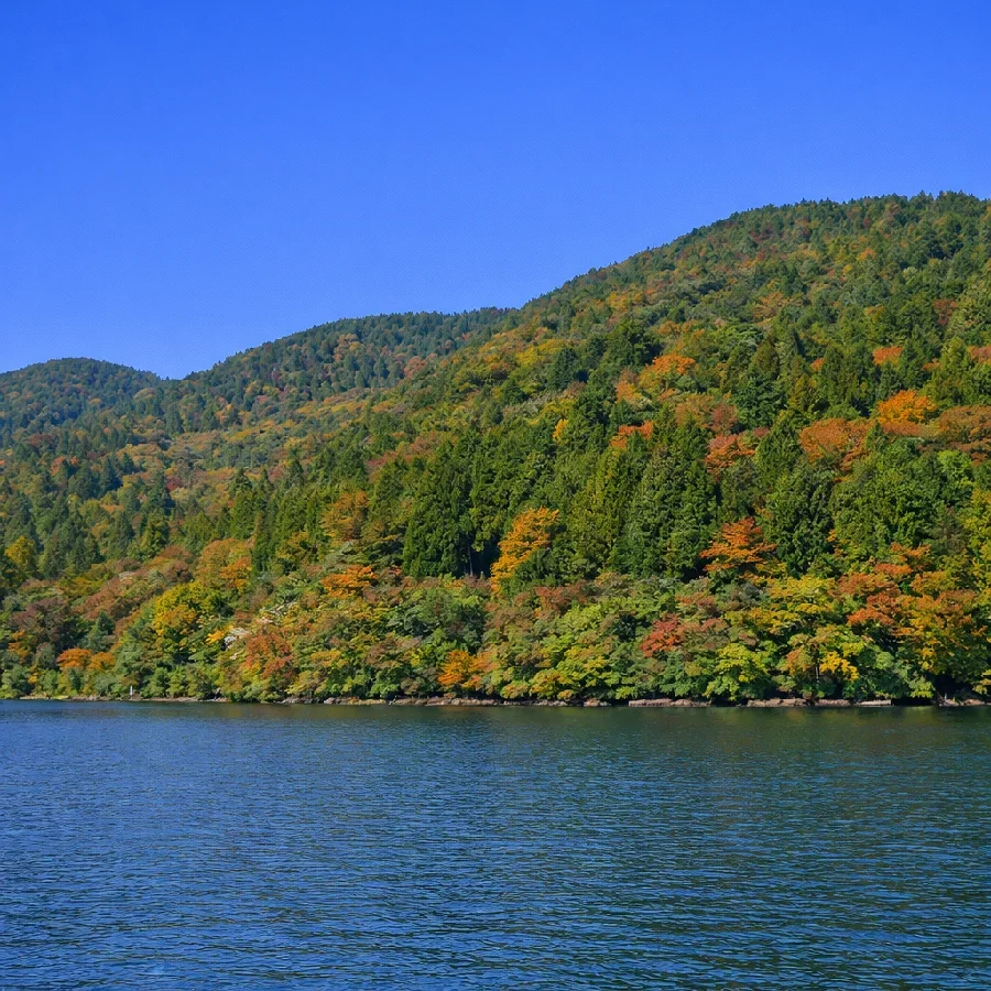 芦ノ湖平岩付近の様子