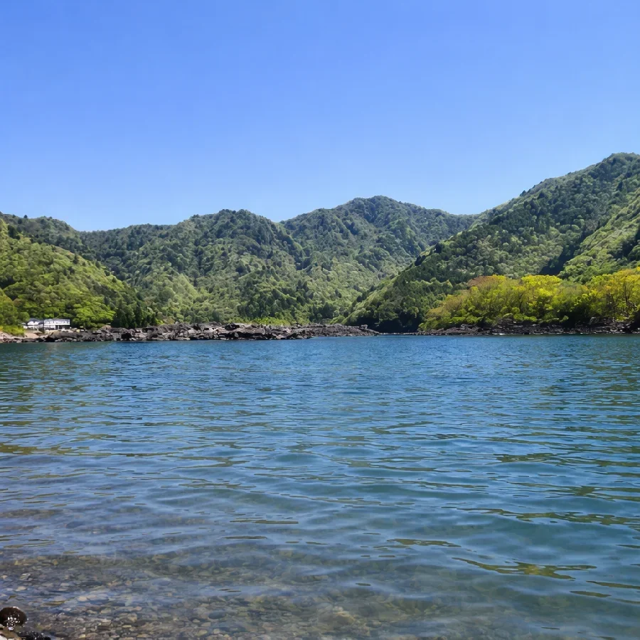 精進湖自由キャンプ場