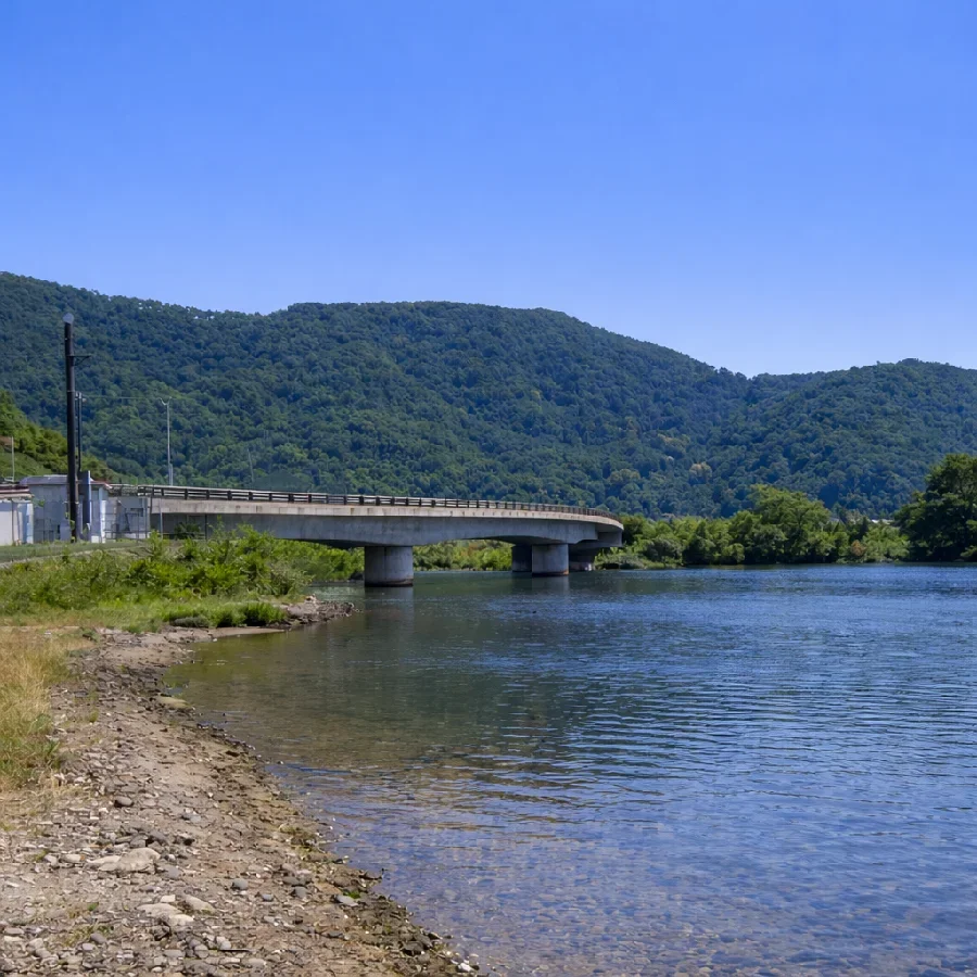 塩津浜緑地公園の様子