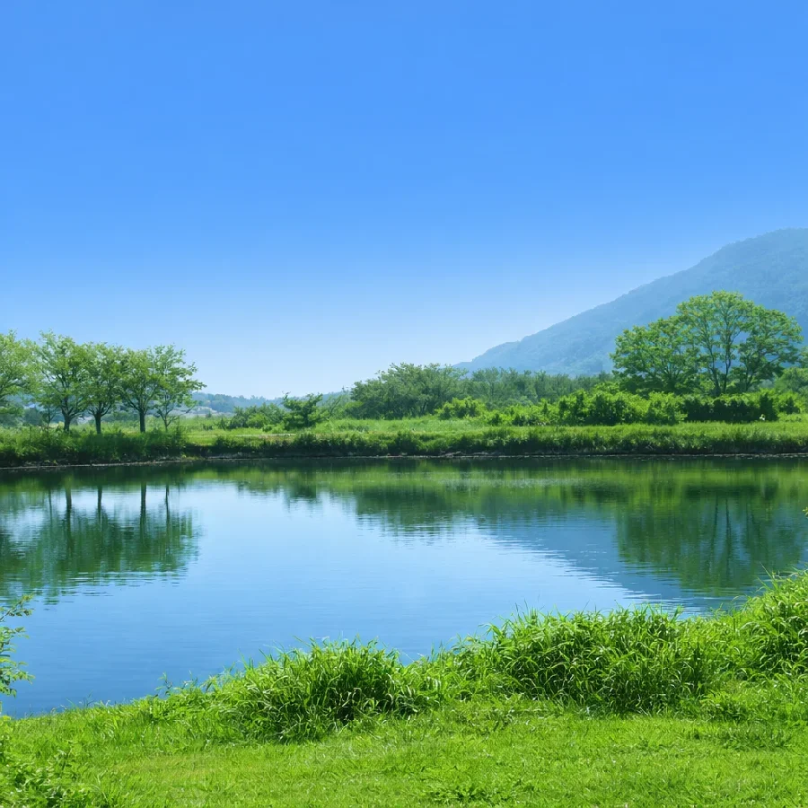 五三川団地前付近