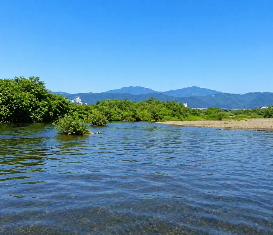 九頭竜橋付近の九頭竜川