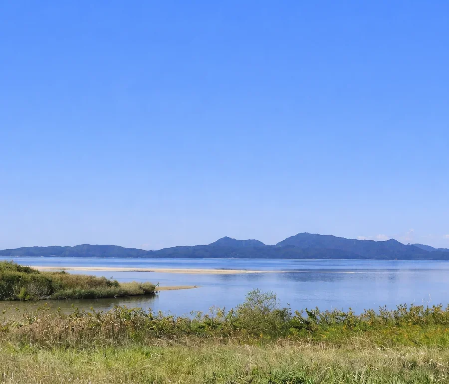 中海飯梨川河口