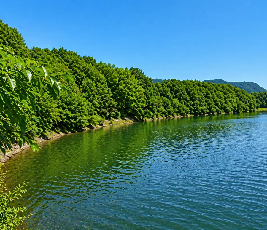 府中湖ログハウス周辺