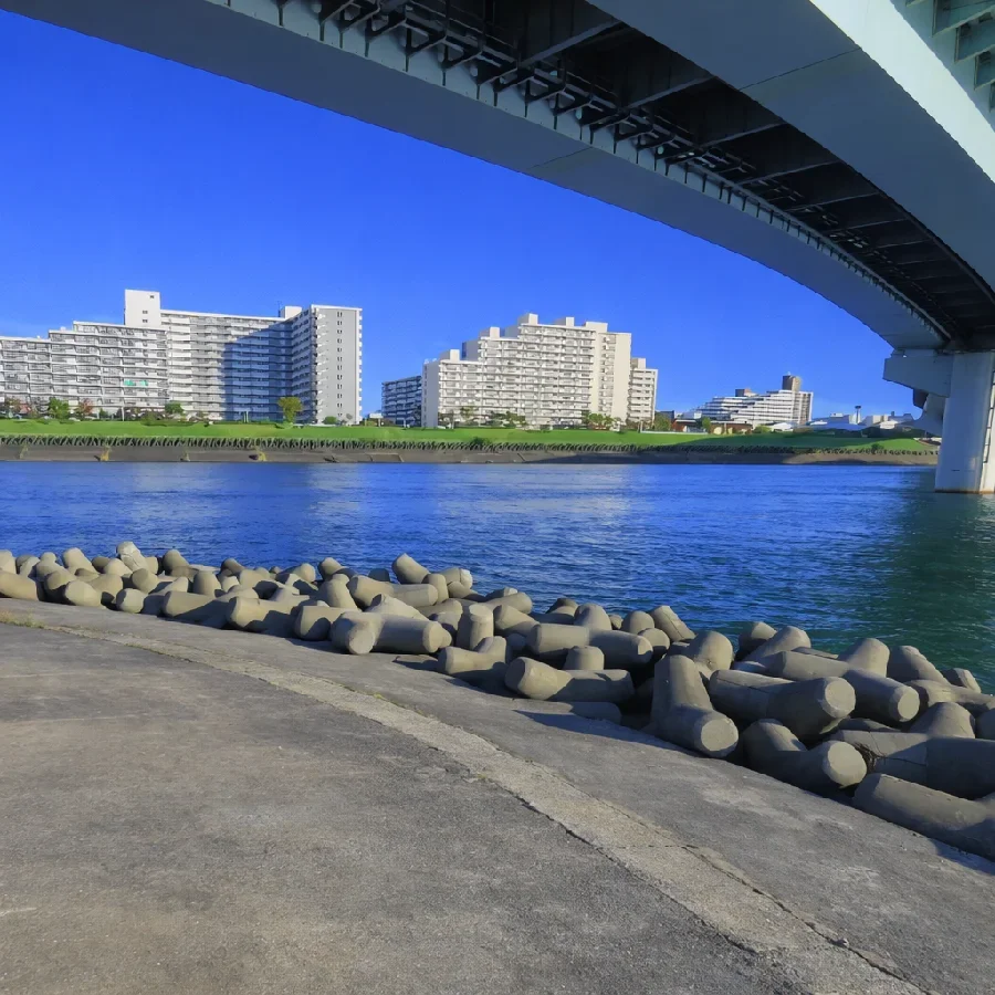 荒川合流点の中川