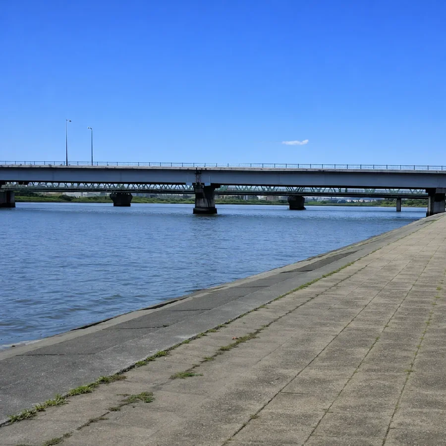 平井大橋付近の荒川