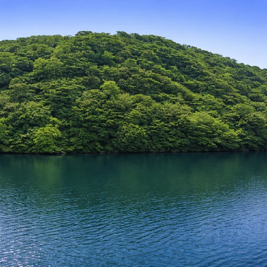 芦ノ湖神宮