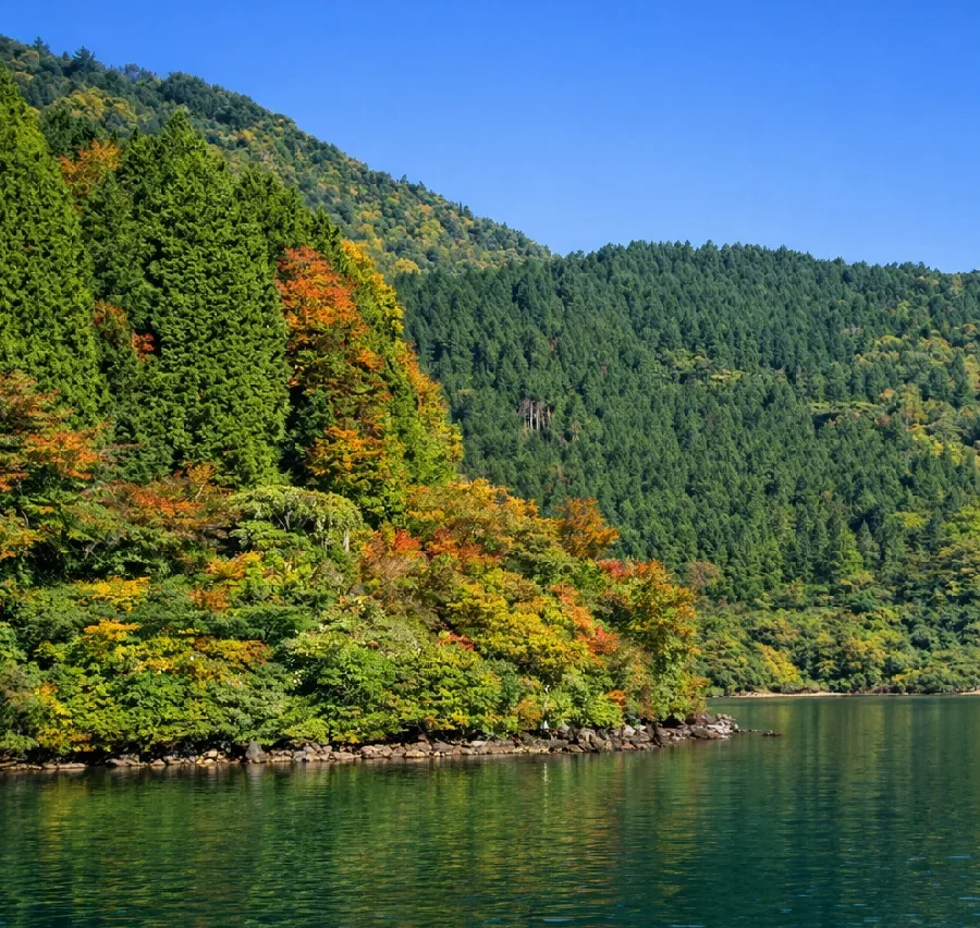 芦ノ湖箒ヶ鼻の様子