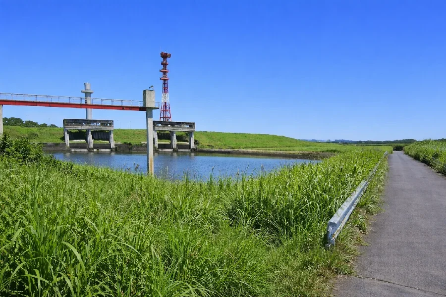 三郷放水路合流地点付近の江戸川
