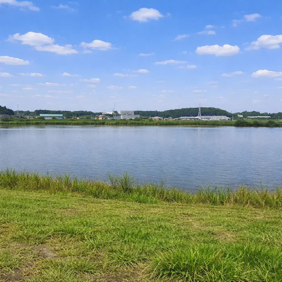 霞ヶ浦恋瀬川河口