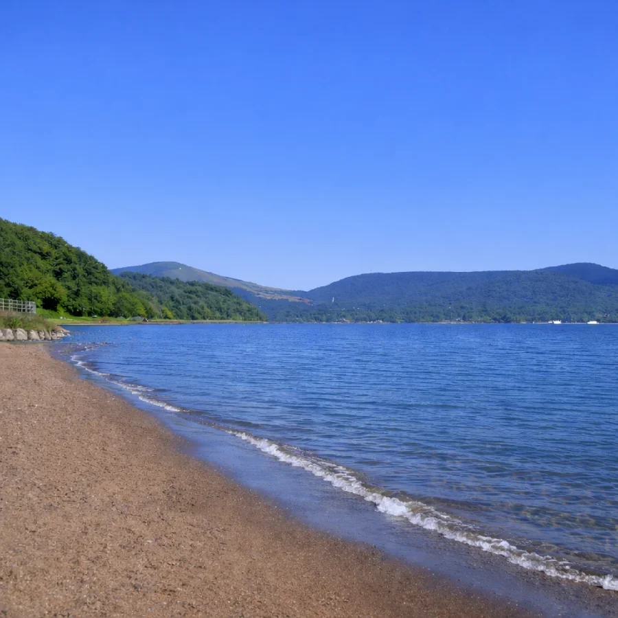 山中湖長池親水公園付近