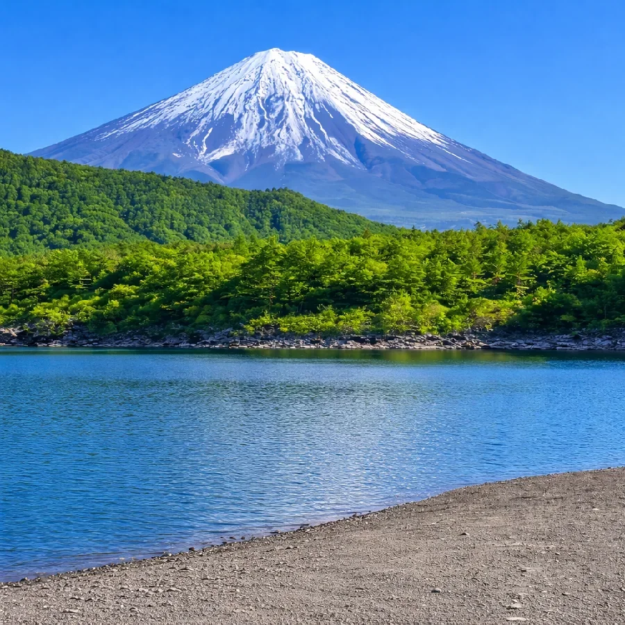 西湖根場エリア
