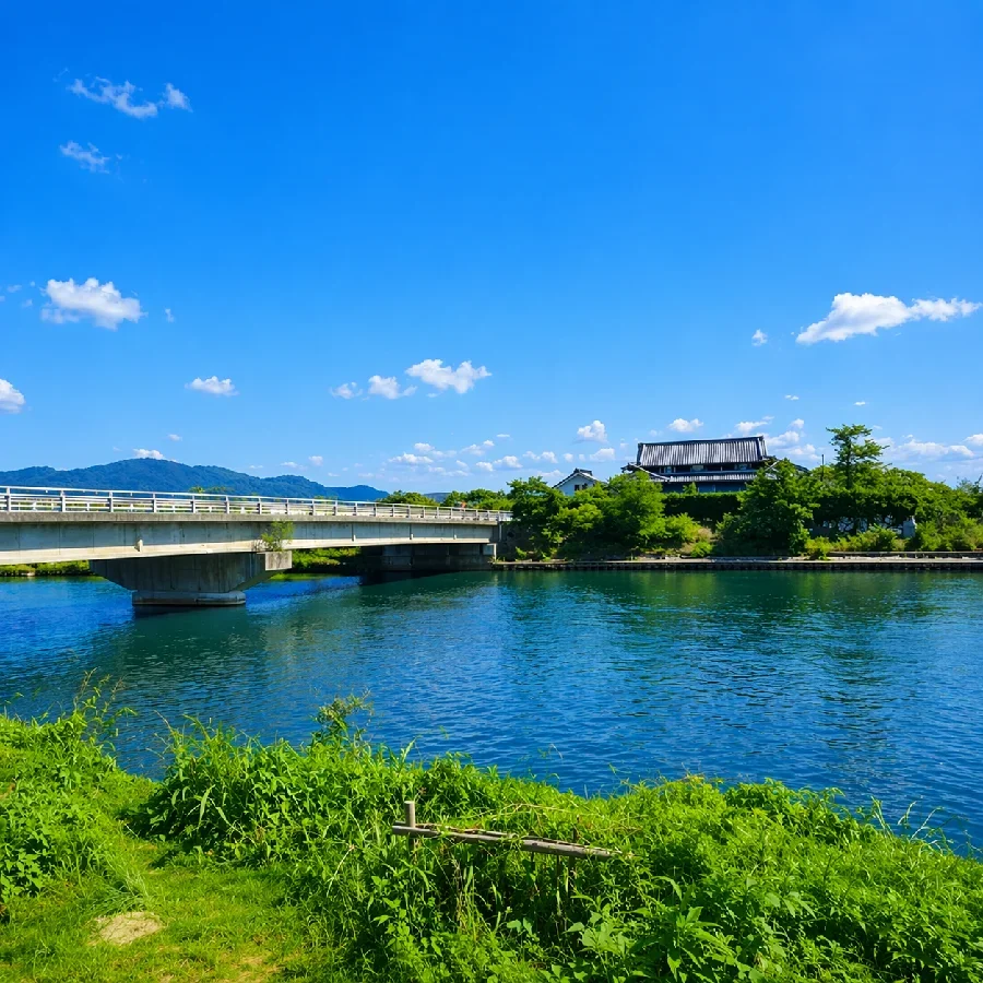 琵琶湖天野川河口