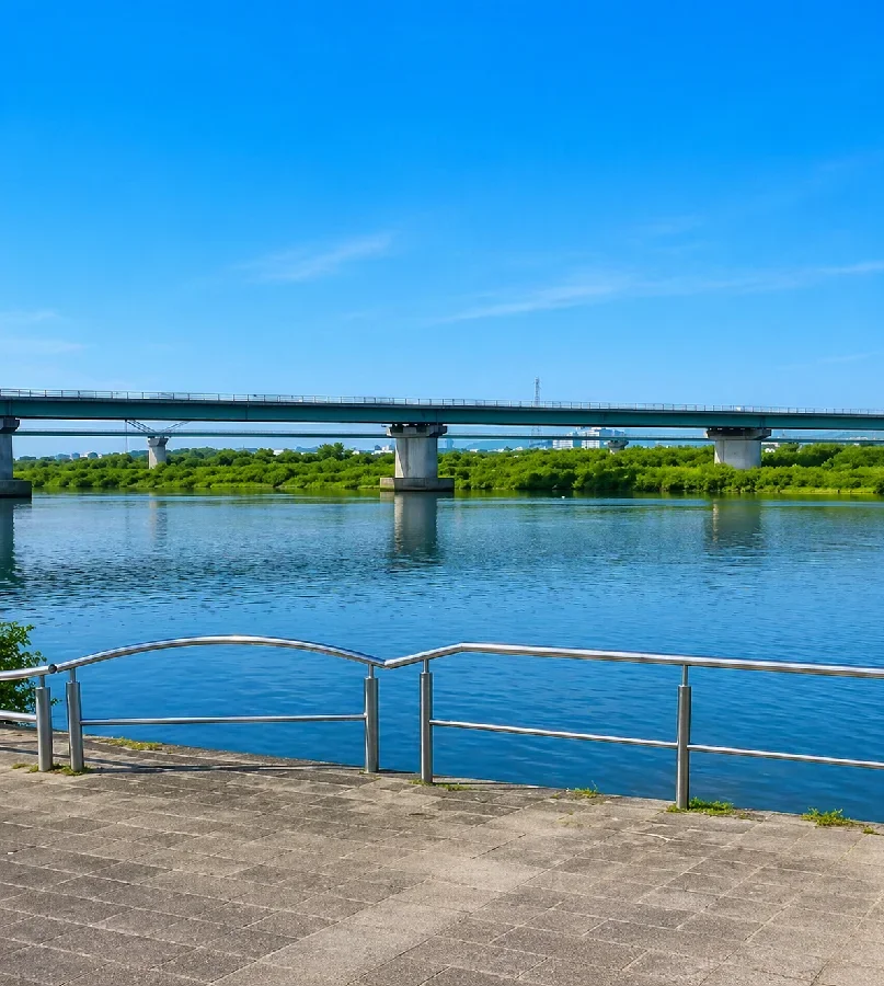 枚方大橋付近の淀川