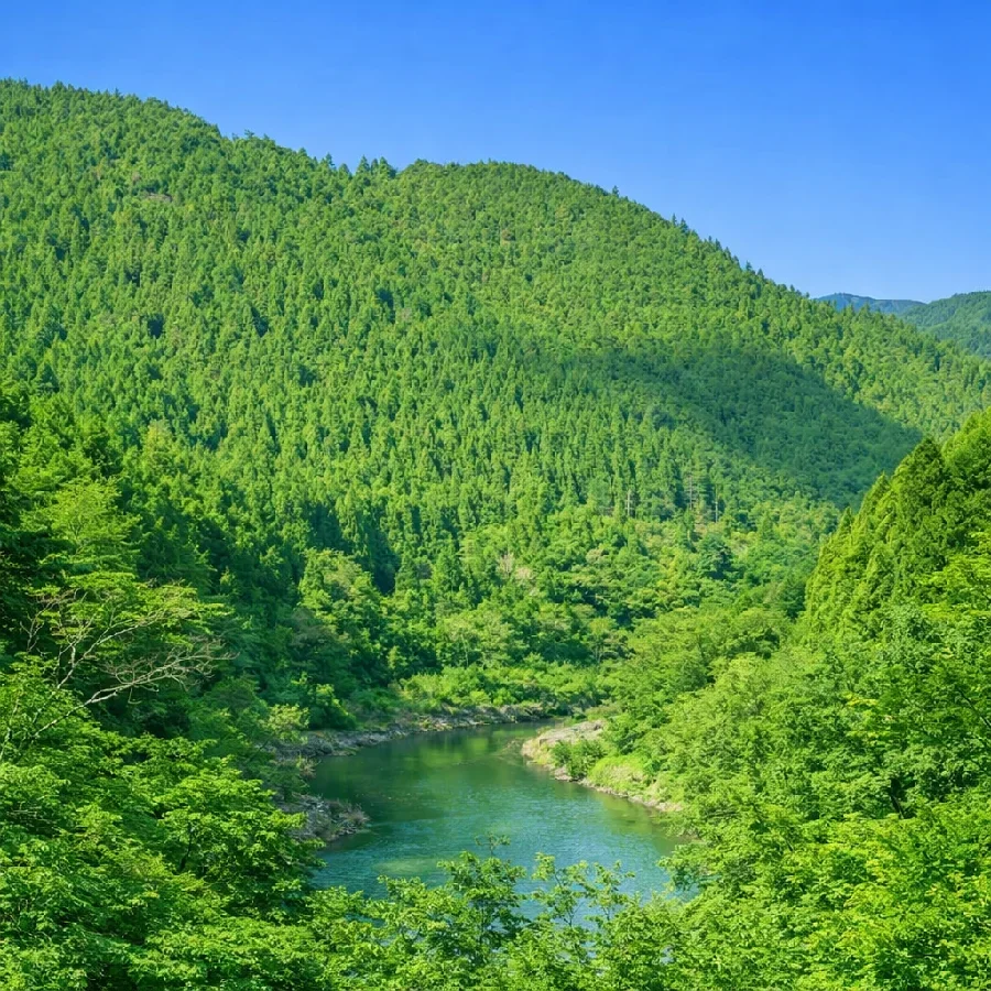 池原ダム北山川バックウォーター