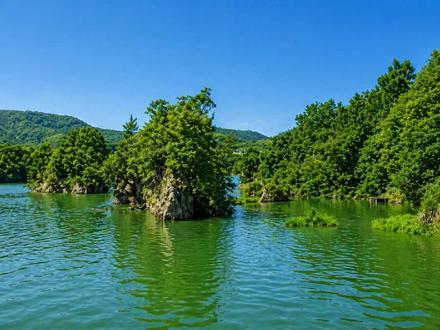 府中湖北条池流れ込み