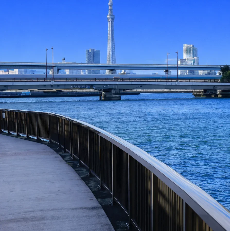 平和橋付近の中川