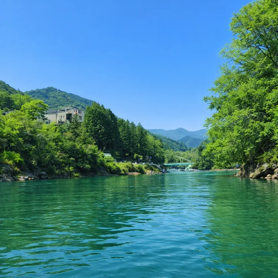 相模湖秋山川合流点の様子
