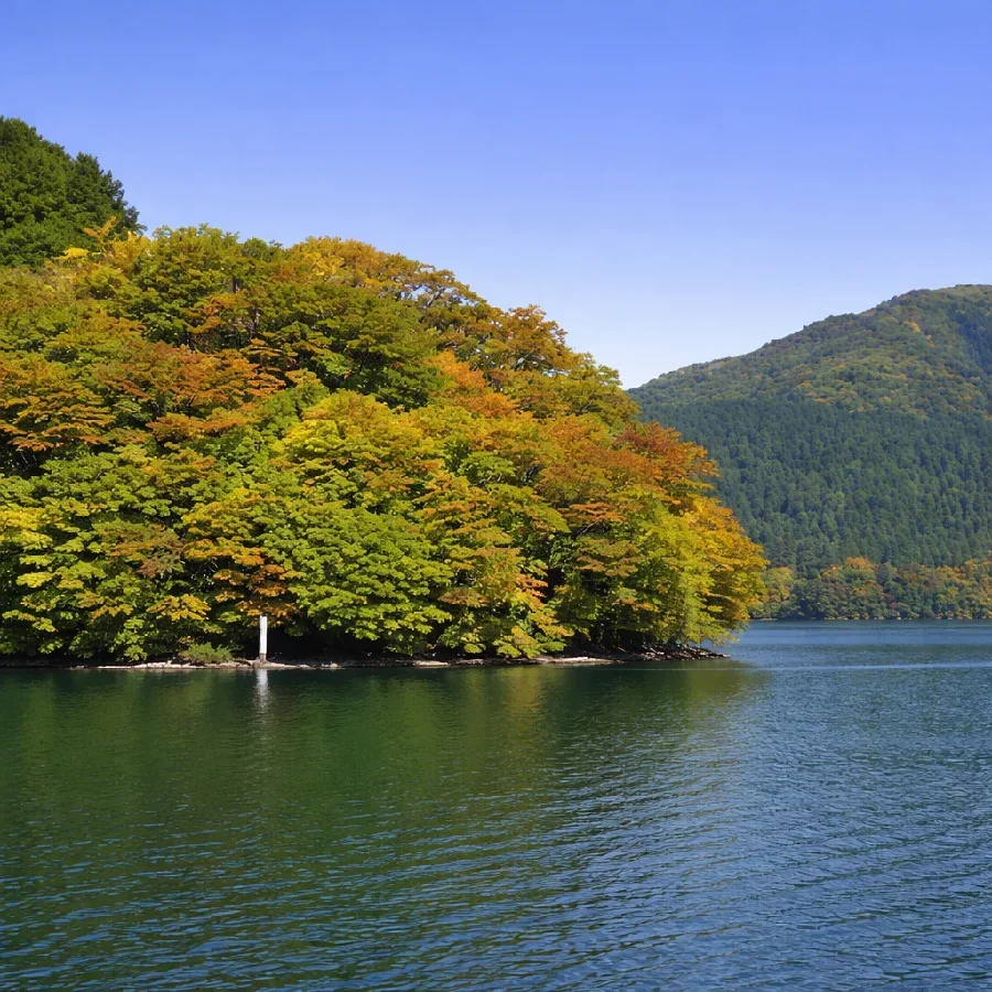 芦ノ湖亀ヶ崎の様子