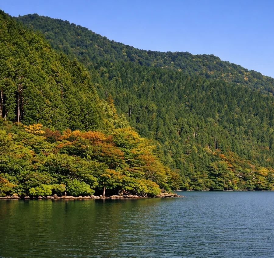 芦ノ湖百貫の鼻