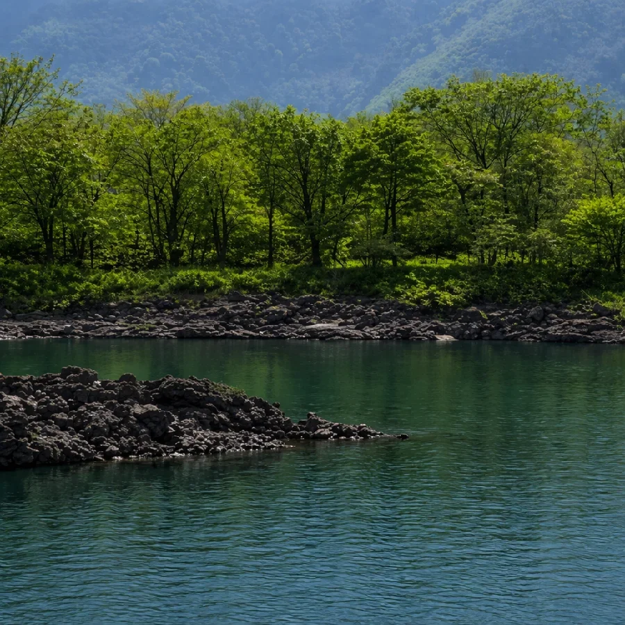 精進湖釜畑