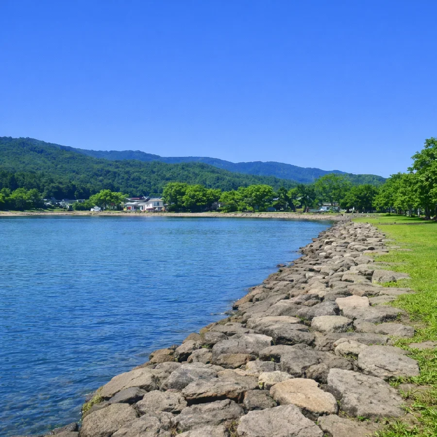 琵琶湖大浦園地の様子