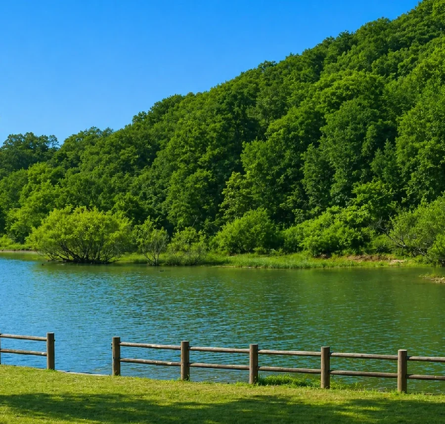 青野ダム小野公園付近