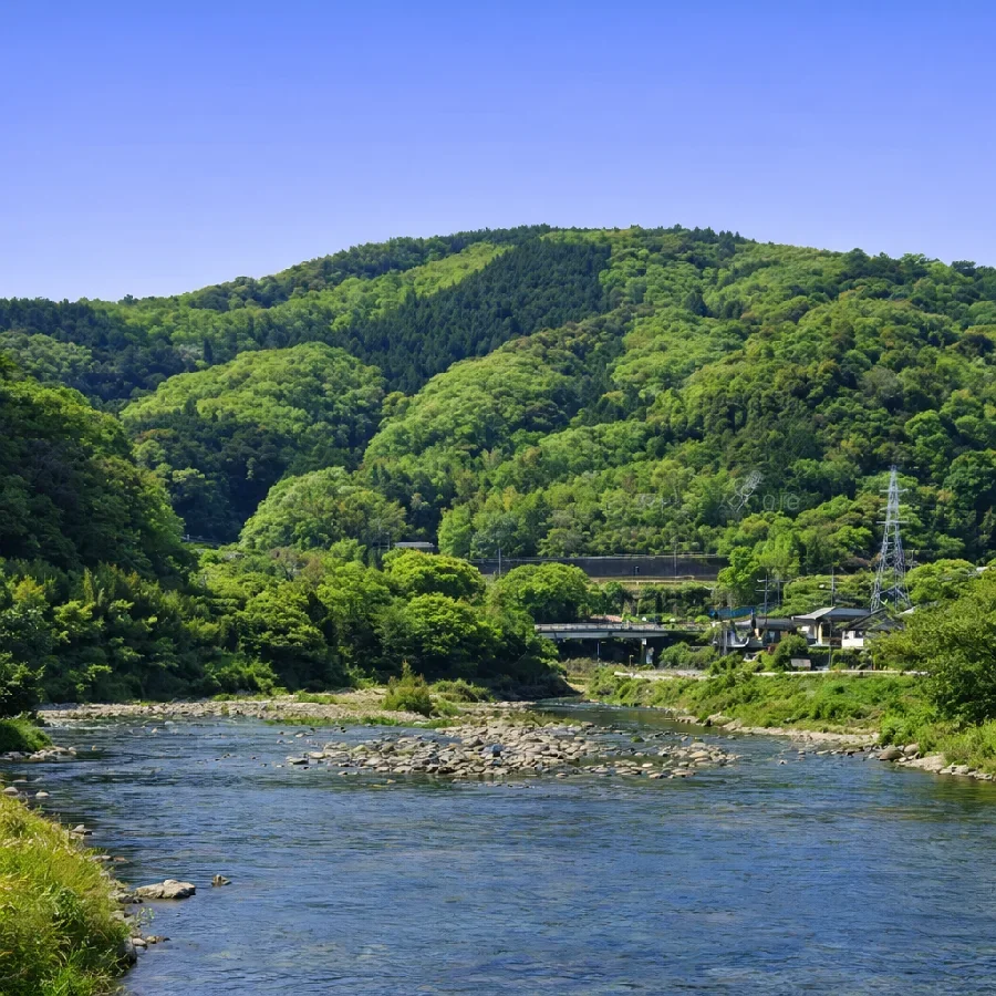 ドーム前付近の狩野川