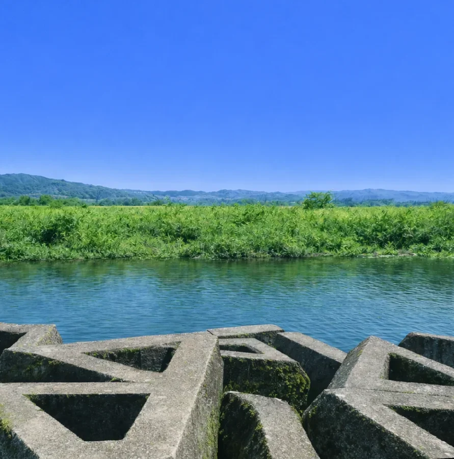 紀の川川辺ワンド